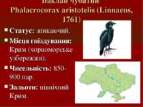 Баклан чубатий Phalacrocorax aristotelis (Linnaeus, 1761) Статус: зникаючий. ...