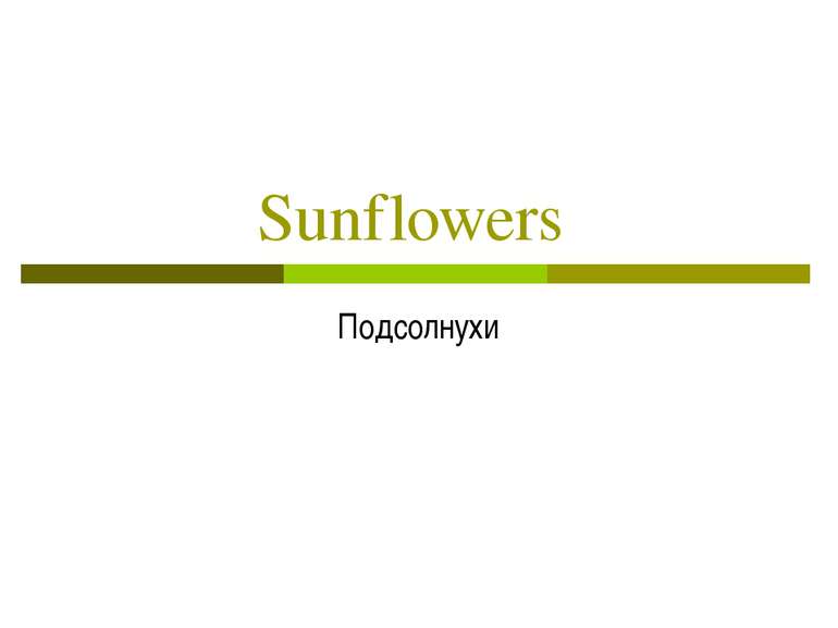 Sunflowers Подсолнухи