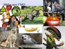Міфи про ГМО