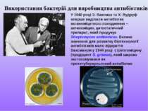Використання бактерій для виробництва антибіотиків У 1940 році З. Ваксман та ...