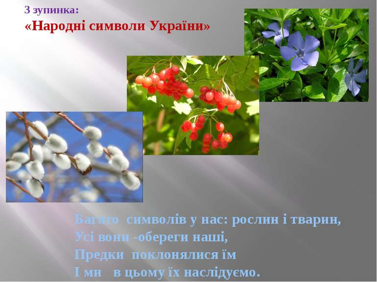 3 зупинка: «Народні символи України» Багато символів у нас: рослин і тварин, ...