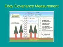 Eddy Covariance Measurement