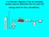 A schematic diagram of the air sampling system used to determine the CO2 and ...