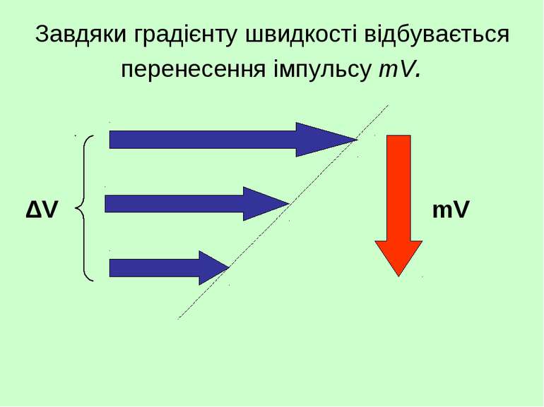 Завдяки градієнту швидкості відбувається перенесення імпульсу mV. mV ΔV
