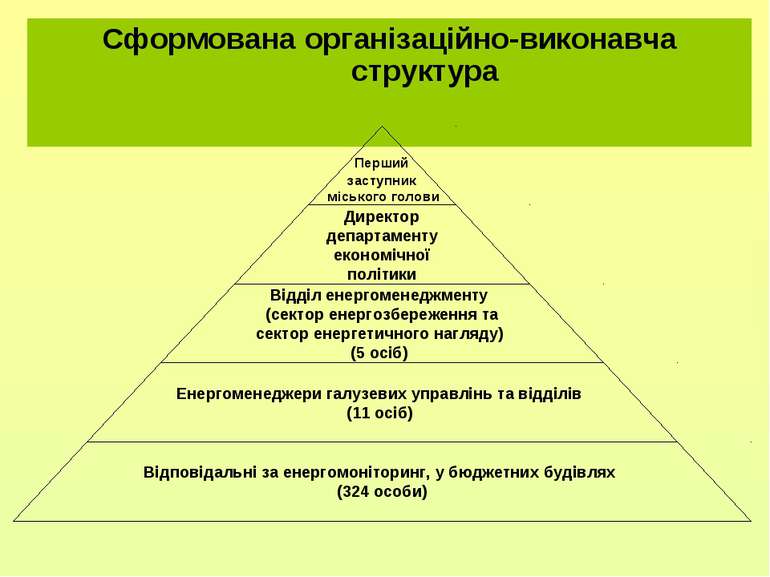 Сформована організаційно-виконавча структура