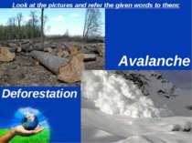 Look at the pictures and refer the given words to them: Deforestation Avalanc...