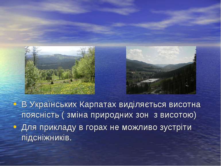 В Українських Карпатах виділяється висотна поясність ( зміна природних зон з ...