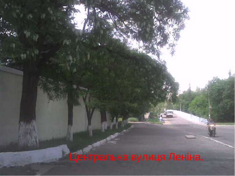 Центральна вулиця Леніна.