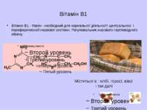 Вітамін В2 Вітамін В - рибофламин - бере участь в окислювально - востонавител...