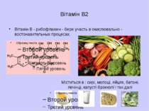 Вітамін PP Вітамін PP - Ніацин - бере участь в окислювально - відновних реакц...