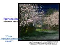 Притча про маму «Мамина вишня» http://www.playcast.ru/view/1143096/58f88f7a31...