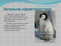 Загальна характеристика Пінгвінові— родина кілегрудих птахів. Родина пінгвіно...