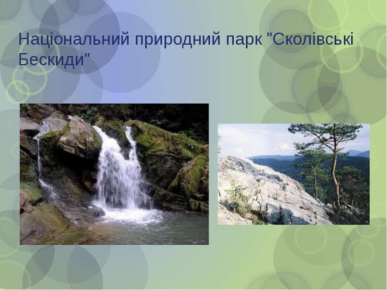 Національний природний парк "Сколівські Бескиди"