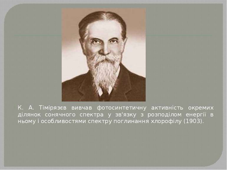 К. А. Тімірязєв вивчав фотосинтетичну активність окремих ділянок сонячного сп...