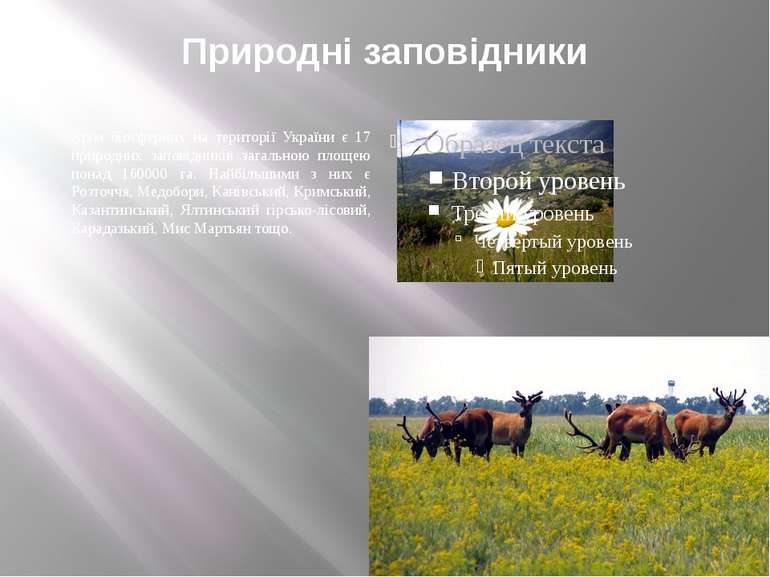 Природні заповідники Крім біосферних на території України є 17 природних запо...