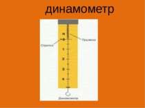 динамометр
