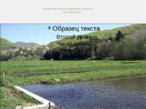 Зоологічний заказник державного значення “ Бронецька ріка ”