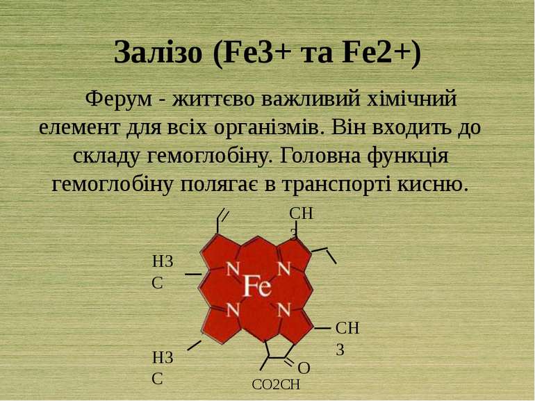 Залізо (Fe3+ та Fe2+) Ферум - життєво важливий хімічний елемент для всіх орга...