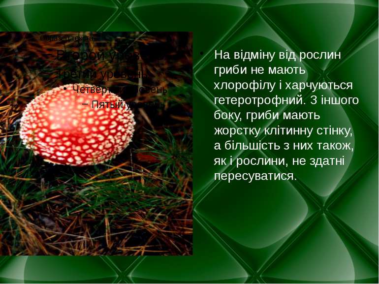 На відміну від рослин гриби не мають хлорофілу і харчуються гетеротрофний. З ...