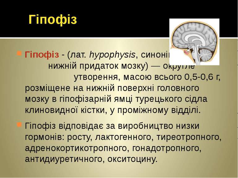 Гіпофіз - (лат. hypophysis, синонім - нижній придаток мозку) — округле утворе...