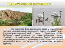 Туристичний потенціал На території Вознесенського району знаходяться частина ...
