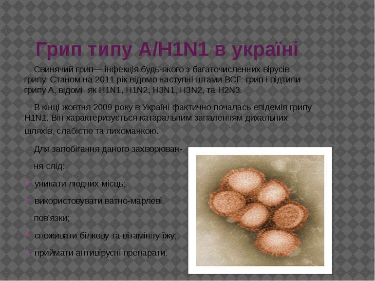 Грип типу А/Н1N1 в україні Свинячий грип— інфекція будь-якого з багаточисленн...