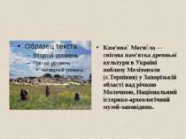 Кам'яна Моги ла — світова пам'ятка древньої культури в Україні поблизу Меліто...