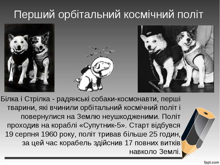 Перший орбітальний космічний політ Білка і Стрілка - радянські собаки-космона...
