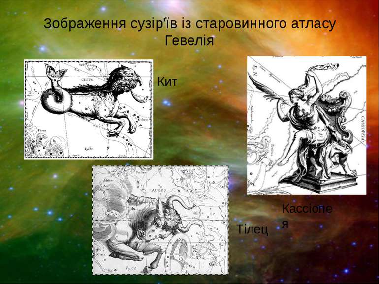 Зображення сузір'їв із старовинного атласу Гевелія Кит Тілец Кассіопея