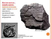 Кам'яне вугілля Антрацит – найбільшякісний сорт вугілля Кам'яне вугілля - тве...