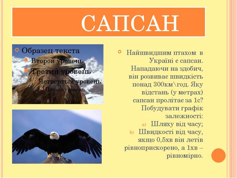 САПСАН Найшвидшим птахом в Україні є сапсан. Нападаючи на здобич, він розвива...