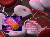 У спокійному стані (в кровотоці) тромбоцити мають дисковидну форму, а при акт...