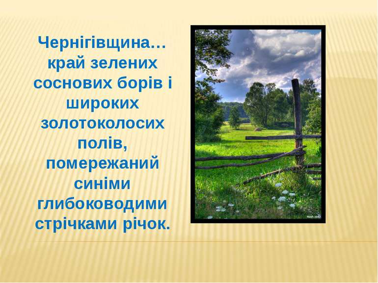 Чернігівщина… край зелених соснових борів і широких золотоколосих полів, поме...