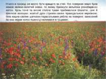 Український степ Нічого в природі не могло бути кращого за степ. Уся поверхня...