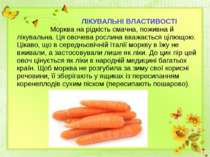 ЛІКУВАЛЬНІ ВЛАСТИВОСТІ Морква на рідкість смачна, поживна й лікувальна. Ця ов...