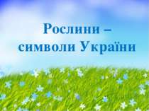 Рослини-символи України