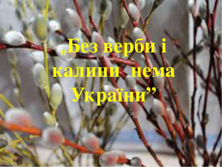 „лини нема України” „Без верби і калини нема України”