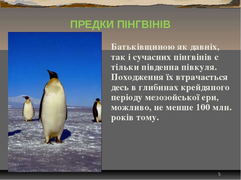 * Батьківщиною як давніх, так і сучасних пінгвінів є тільки південна півкуля....