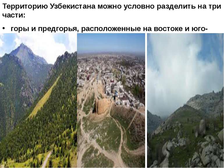 Территорию Узбекистана можно условно разделить на три части: горы и предгорья...