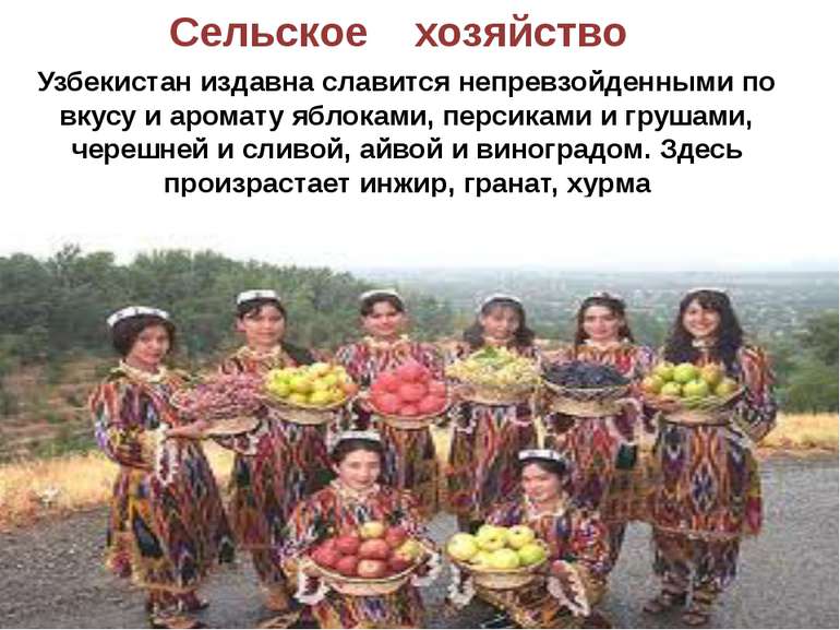 Сельское хозяйство Узбекистан издавна славится непревзойденными по вкусу и ар...