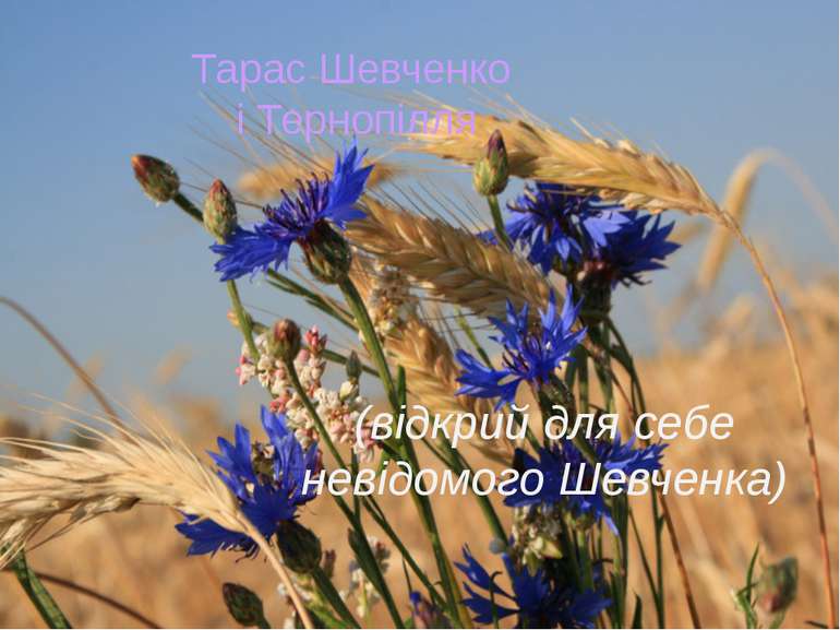 Тарас Шевченко і Тернопілля (відкрий для себе невідомого Шевченка)