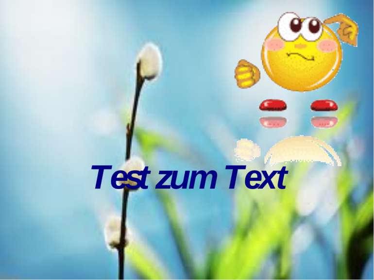 Test zum Text