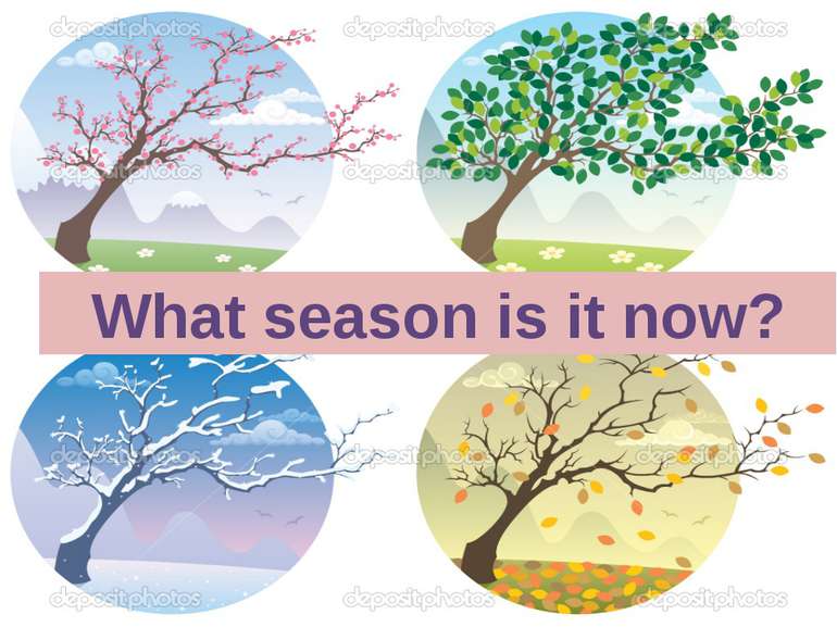What season is it now?