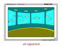 an aquarium