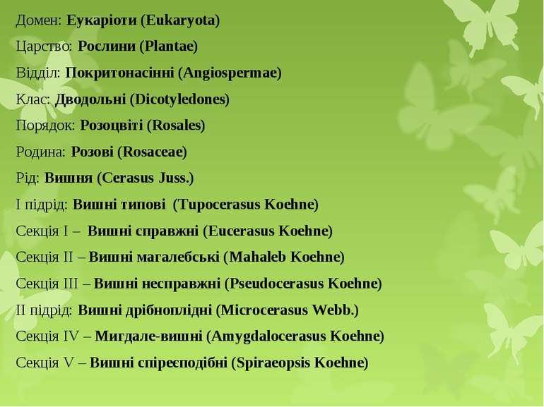 Домен: Еукаріоти (Eukaryota) Царство: Рослини (Plantae) Відділ: Покритонасінн...