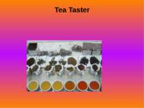 Tea Taster