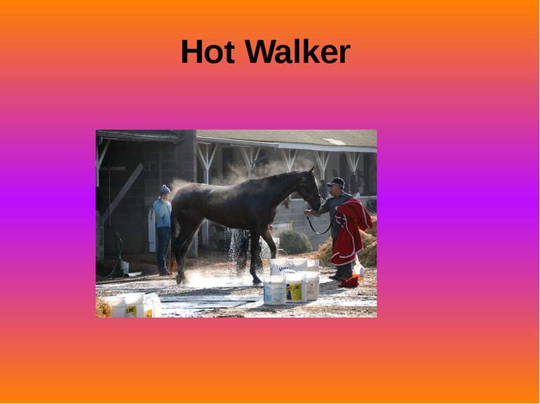 Hot Walker