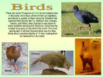 There are some 70 species of birds found nowhere else in the world, more than...