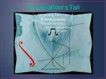 The Swallow’s Tail