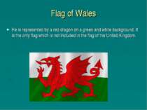 Flag of Wales He is represented by a red dragon on a green and white backgrou...